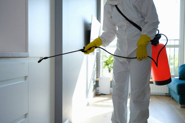 Best Residential Mold Removal  in Williamson, WV