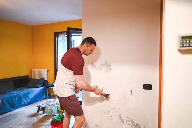 Best Mold Removal Process  in Williamson, WV